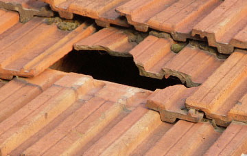 roof repair Old Ditch, Somerset